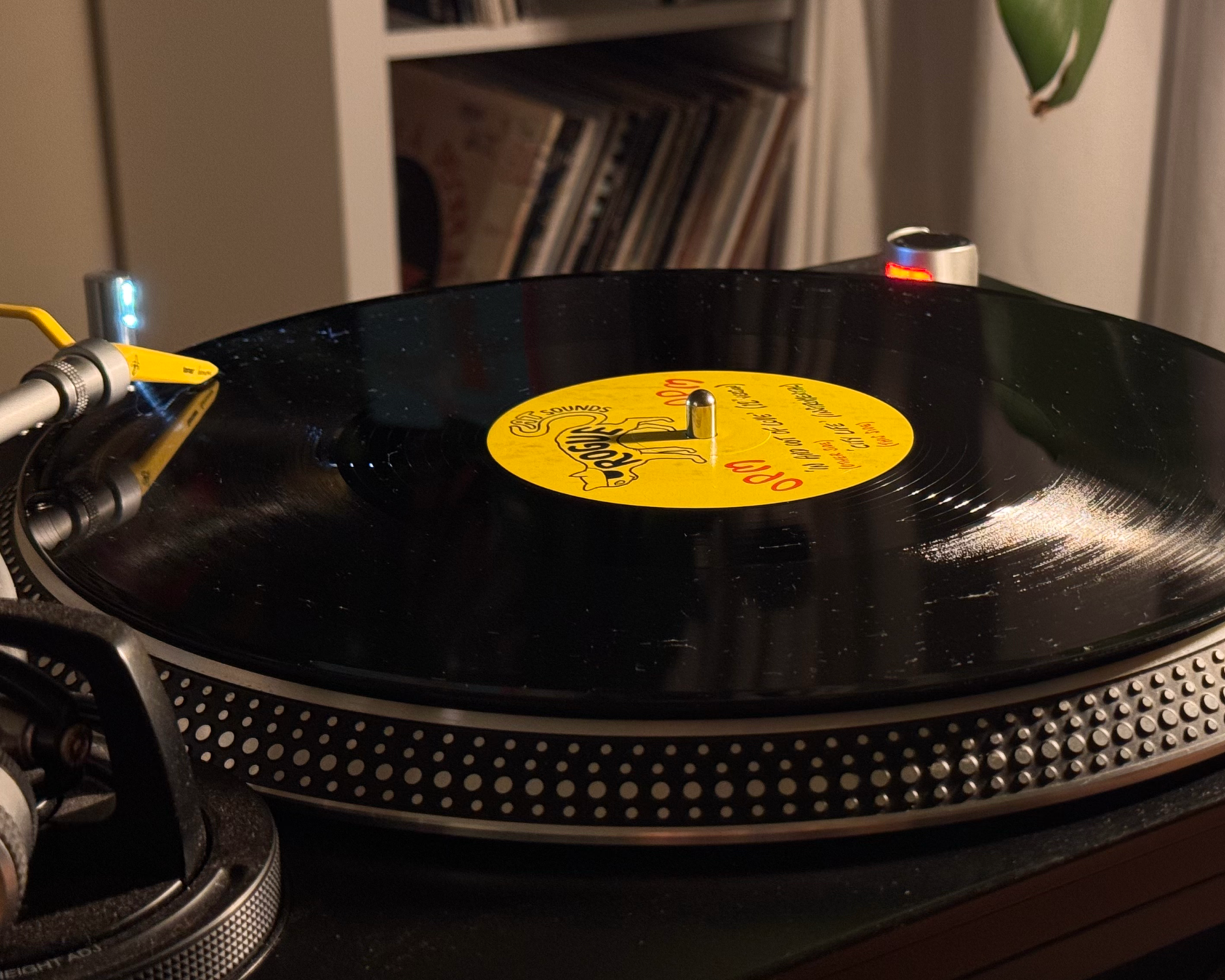 Vinyl Record grading